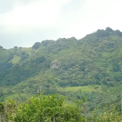 Piedra de Aserrí, Aserrí